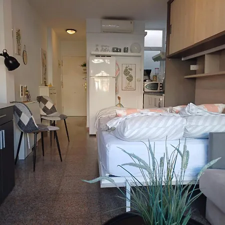 Playa Del Acequion Апартаменты Торевьиа